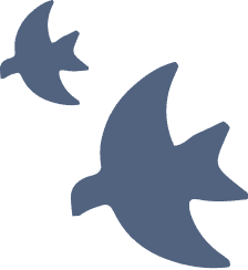 鳥類のイラスト